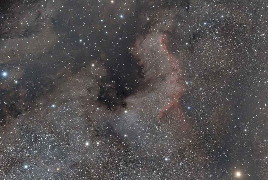 NGC 7000 - Nébuleuse Amérique du Nord